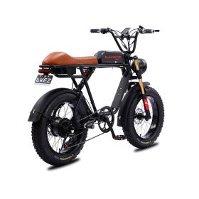 AKEZ S1 750W 48V 20 Inch Flat Tire Electirc Bicycle (BATTERY: 13AH, Color: black)
